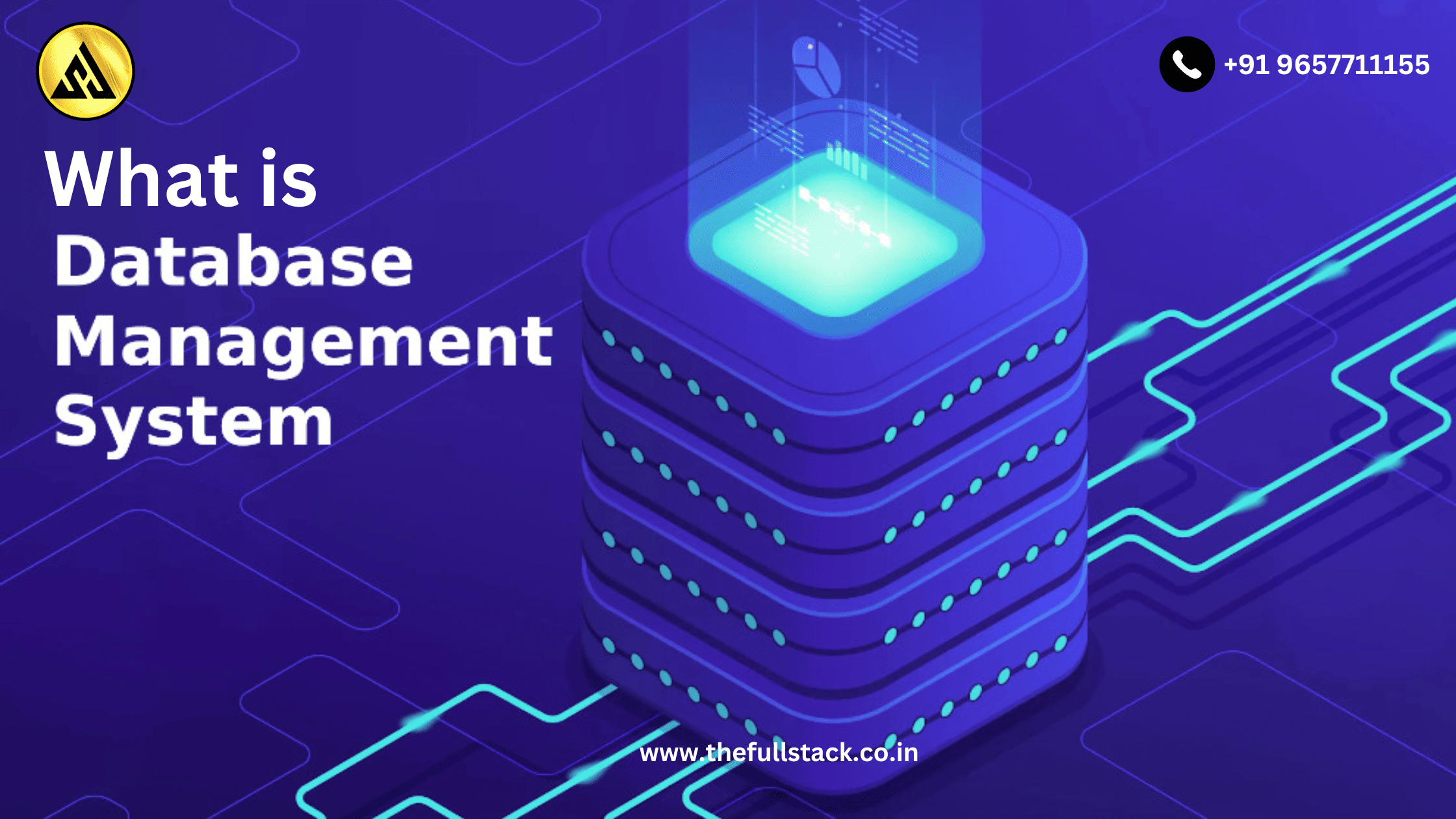 What is DBMS? A Beginner’s Guide to Database Management Systems in 2025